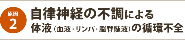 自律神経の不調により体液循環不全（血液・リンパ・脳脊髄液）が治癒力を低下させせている